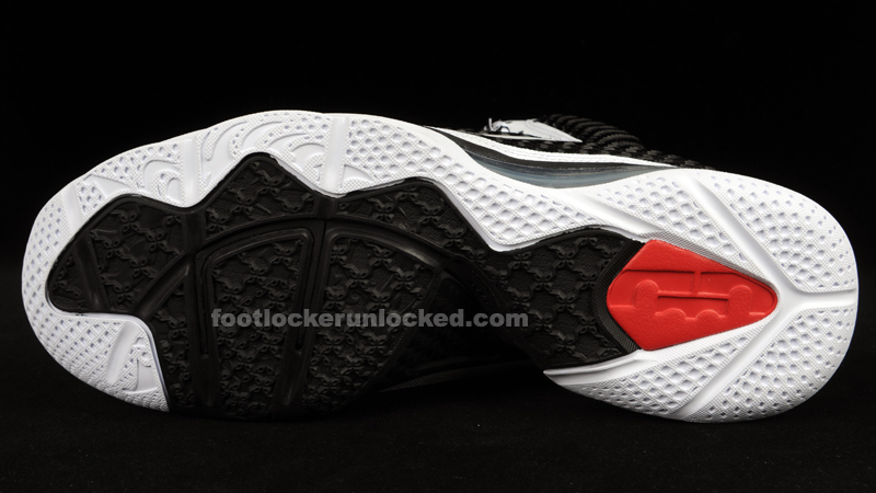 FL_Unlocked_Nike_LeBron9_Freegum_6