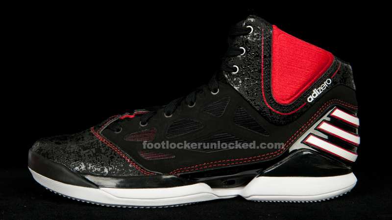 d rose 2.5 shoes