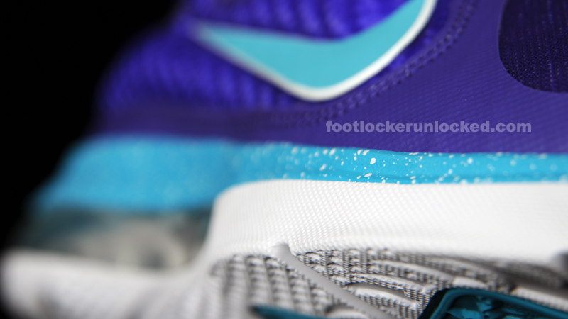 FL_Unlocked_Nike_LeBron_9_AAU_Hornets_06