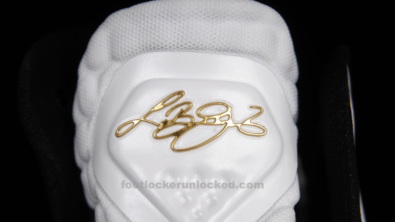 FL Unlocked Nike LeBron 9 Elite Home_10