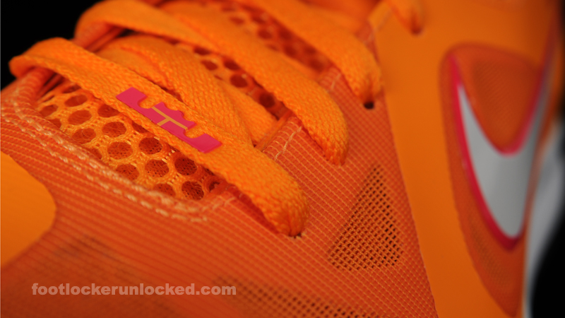 FL Unlocked Nike LeBron 9 Low Floridian_09