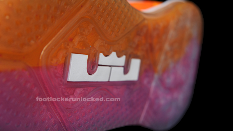 FL Unlocked Nike LeBron 9 Low Floridian_12