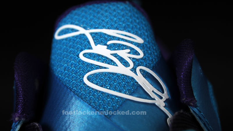FL Unlocked Nike LeBron 9 Low AAU Hornets_09