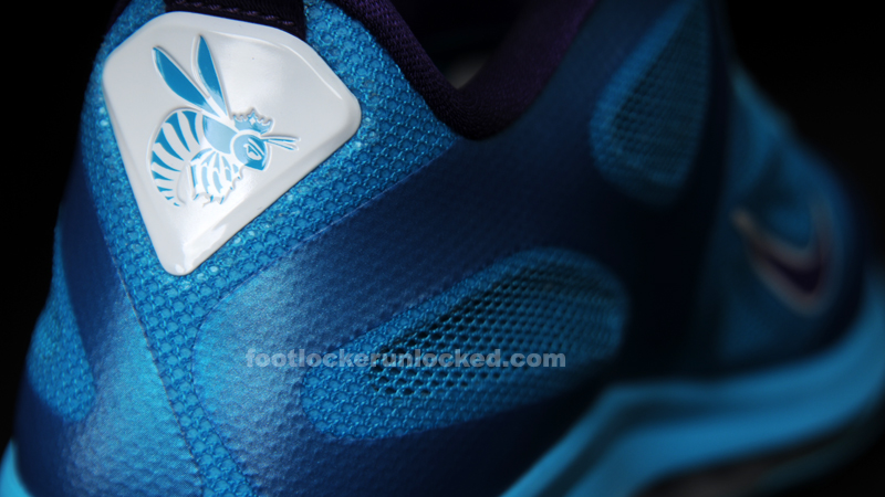 FL Unlocked Nike LeBron 9 Low AAU Hornets_10