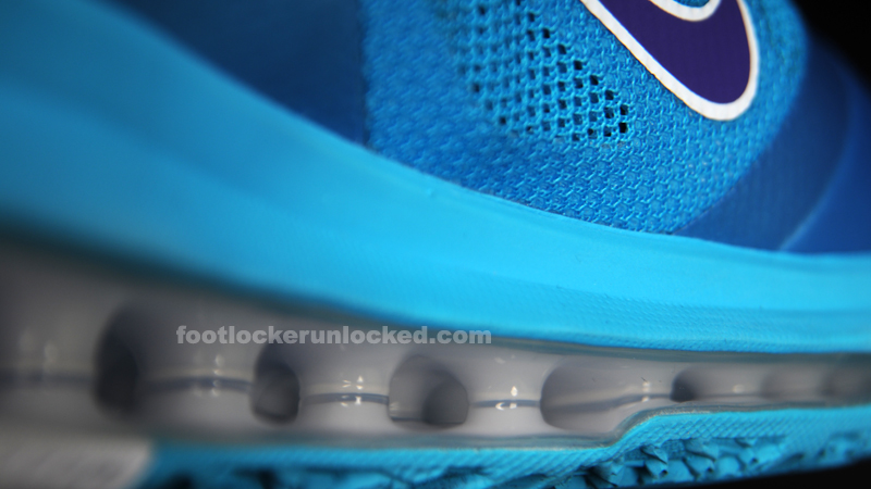 FL Unlocked Nike LeBron 9 Low AAU Hornets_11