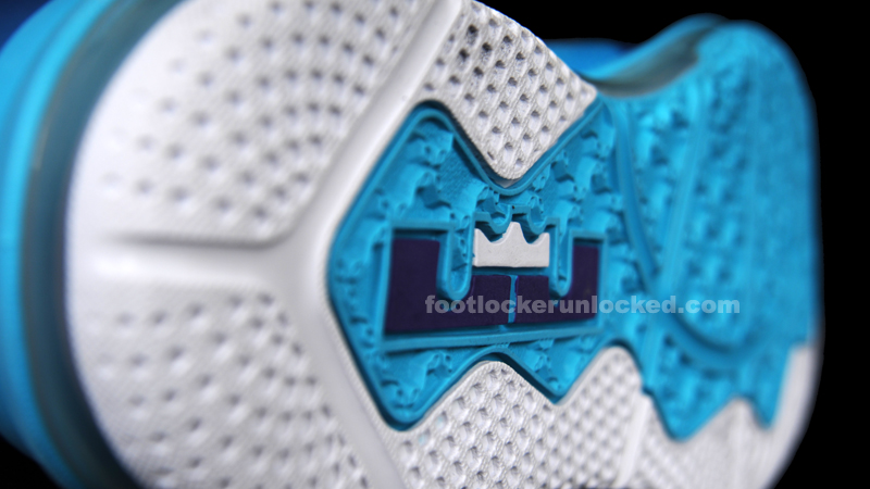 FL Unlocked Nike LeBron 9 Low AAU Hornets_12