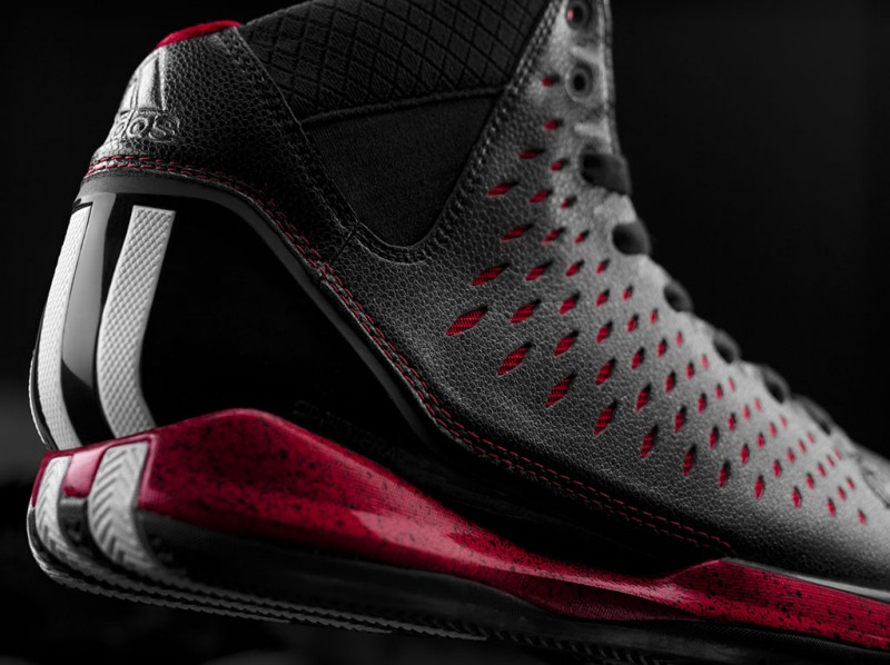 d rose shoes 3