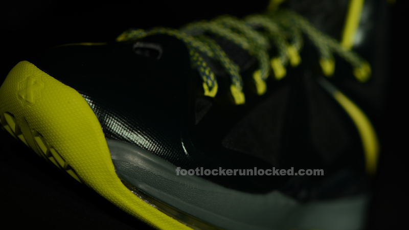 FL Unlocked Nike LeBron X Dunkman_05