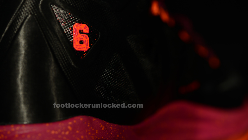 FL Unlocked Nike LeBron X Floridian_07
