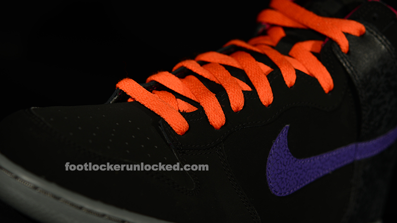 FL Unlocked Nike Dunk High Barkley_05