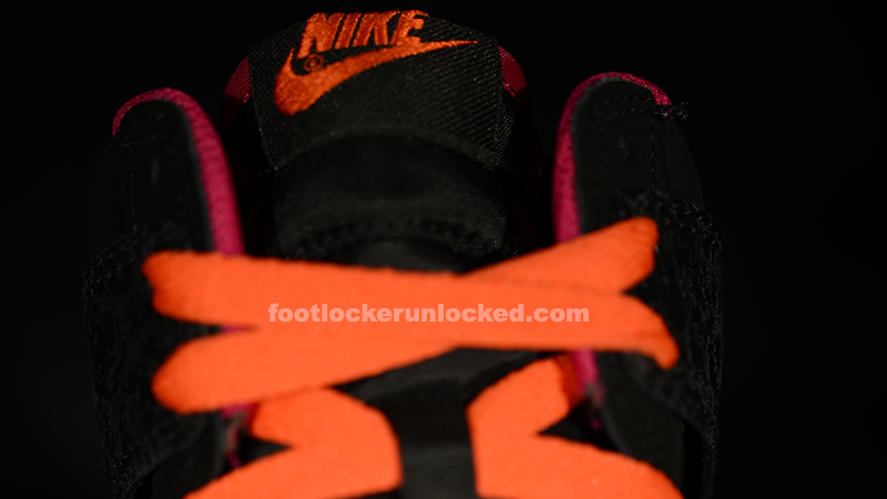 FL Unlocked Nike Dunk High Barkley_06