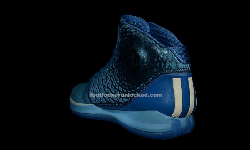 FL Unlocked adidas Rose 35 All Star_05