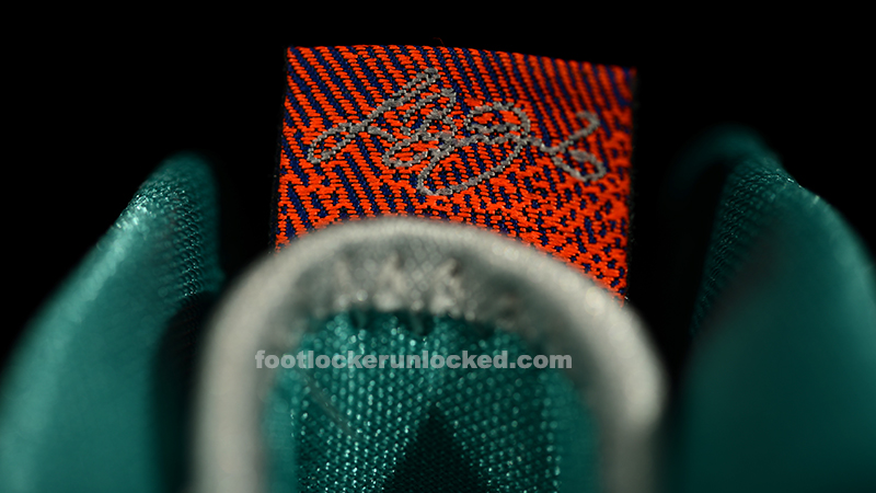 FL Unlocked Nike LeBron X Pure Platinum_09