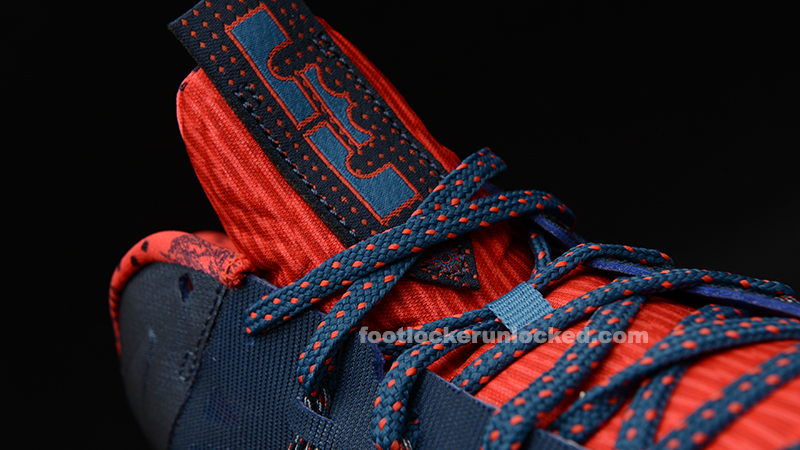 FL Unlocked Nike LeBron X Low USA_05
