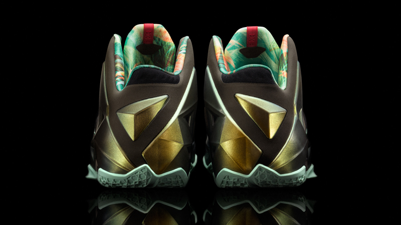 FL_Unlocked_Nike_LeBron_11_Kings_Pride_02