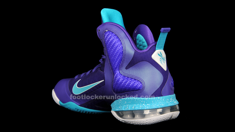 hornet lebron 9s